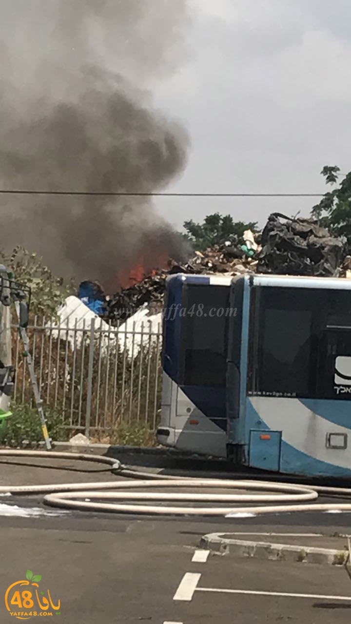 firbus eastyaffa (9).jpg